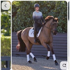 Ariat Tek Equestrian Sun Shirt Purple Ombré